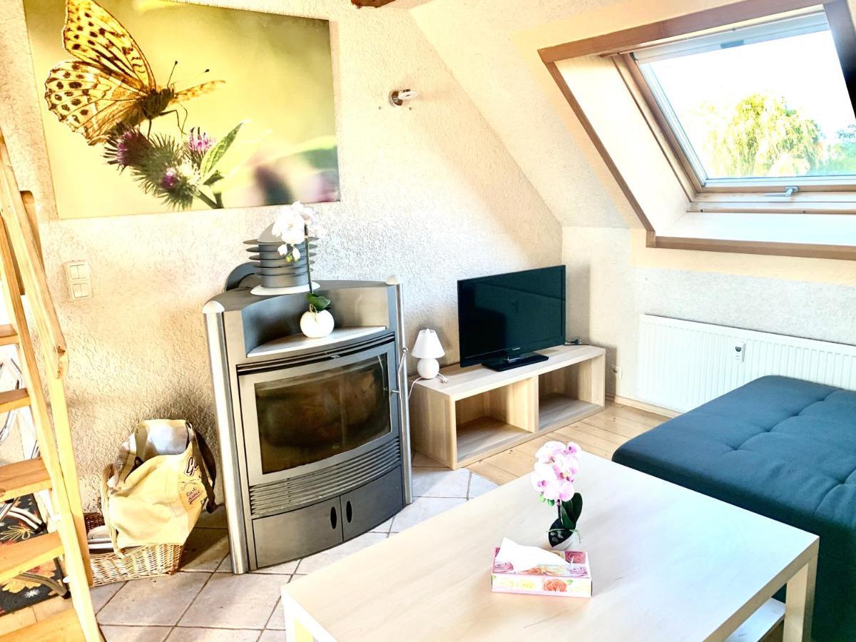 #World Ferienwohnung Schkeuditz Dış mekan fotoğraf